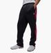 Брюки чоловічі Jordan Essentials (HF9341-011) HF9341-011-M фото 1